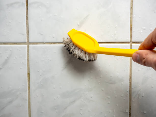 Best Fast Mold Removal  in Republic, MO