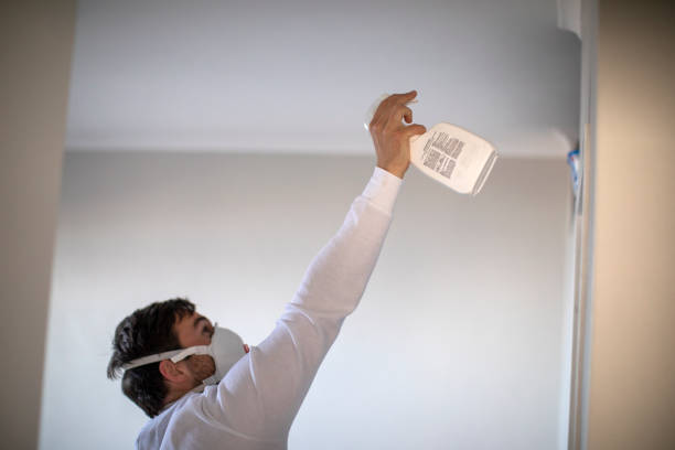 Best Crawl Space Mold Removal  in Republic, MO