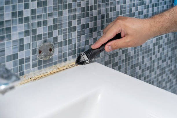 Best Local Mold Removal Service  in Republic, MO